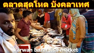 ตะลุยเดี่ยวบังคลาเทศ 28: โหดจัดตลาดปลาเช้าบังคลาเทศ karwan bazar fish market bangladesh