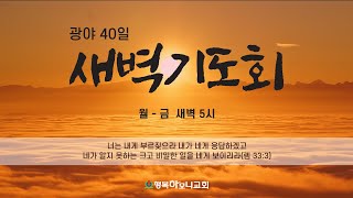 2025/02/14(금)[새벽기도회] 하나님의 군사(삿7:2) 임근수 목사