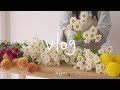 ENG) Flower shop vlog| About Chrysanthemum🌼 | Introducing the most beautiful chrysanthemum in autumn