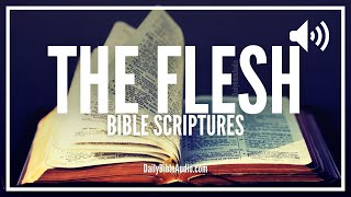 Bible Verses About The Flesh | What Does The Bible Say About The Flesh (Powerful Scriptures)