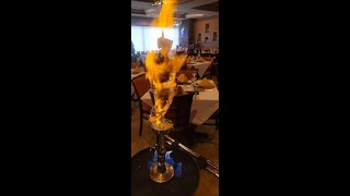 Jashan Halal Indian Restaurant Review: An Amazing Experience in Parsippany NJ!
