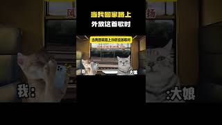 当我回家路上外放这首歌时#猫meme #内容过于真实 #funny