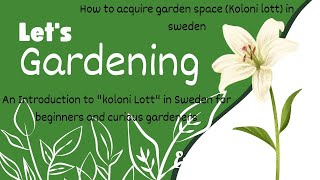 An Introduction to Swedish Koloni Lott where we grow during summer, how to acquire it and much more