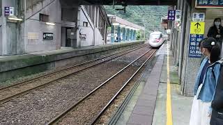 421次台東發車經由花東線開往樹林的EMU3000型十二輛編組EMU3001車王皮蛋豆腐騰雲號新城際自強號列車