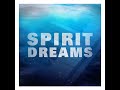 spirit dreams no. 06