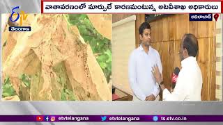 Teak Trees Destroyed by Caterpillars | Adilabad DFO | ఆదిలాబాద్‍ అటవీ అధికారి రాజశేఖర్‍తో ముఖాముఖి