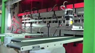 Yüksek Hızlı Laminasyon Pres Hatları/High Speed Precision Press Lines - HD350 with CF Tool