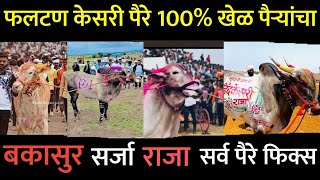 फलटण केसरी पैरे 100% खेळ पैऱ्यांचा