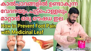 Natural Remedy for Foot Pain and Burning Sensation, കാൽപാദം വേദനയും,ചുട്ട്പൊളളലിനും ഔഷധ ഇല പ്രയോഗം