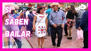 🎉⭐️🎻 K'anwits Y Don Celso Bailando El Zorrillo Y La María Chuchena Huapango En Xilitla Pueblo Mágico