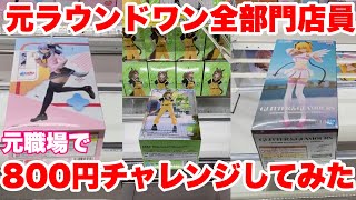 【クレーンゲーム7話】元ラウワン店員が800円チャレンジ #ufoキャッチャー動画 #ufoキャッチャー #ゲームセンター #クレーンゲーム #クレーンゲーム攻略 #ラウワン #ラウンドワン #クレゲ