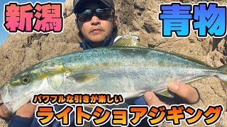 VOL 62.【新潟青物】激込み堤防が苦手なら、磯で青物を狙え！！