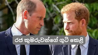 බ්‍රිතාන්‍යයේ විලියම් සහ හැරී කුමරුවන්ගේ ගුටි කෙළියක් ගැන හෙළිදරව්වක්