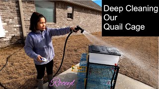 Deep Cleaning Our Hatching Time Comfortplast Quail Cage | Coturnix Quail