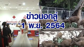 ข่าวนอกลู่ 1 พ.ย. 64 - ห้องรับบริจาคโลหิตโคราช หมอพยาบาลแต่งผีให้บริการ