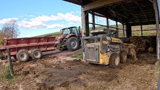 Hauling manure