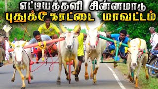 2எட்டியதளி  சின்னமாடு பந்தயம் 13.08.2023