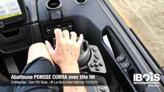 La nouvelle abatteuse Cobra : bon intermédiaire entre la Fox et l’Ergo