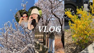 [Vlog] 여름이 오기 전 급히 올리는 봄산책 with Mom