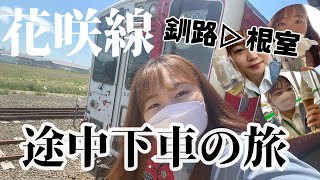 【JR花咲線】途中下車の満喫一人旅