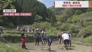 「清沢の棚田」で静岡学園の生徒が種まきの体験「すごく感謝」　静岡市