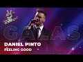 Daniel Pinto - 