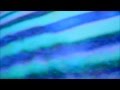 Tanner Garza - That Golden Age Hum (Video)
