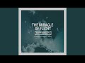 The Miracle of Flight