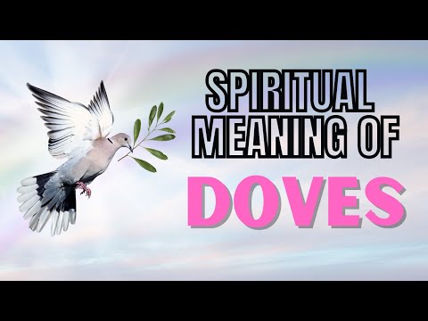 What is Dove Love?