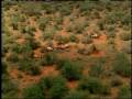 IFAW Tsavo National Park in Kenya