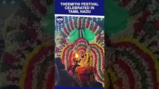 Theemithi festival aka 'firewalking' celebrated in Tharangambadi of Mayiladuthurai district #shorts