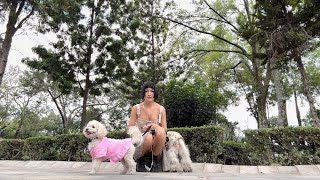 otro vlog romantizando mi vida ft. mis perros :)