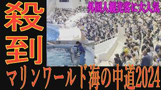 【福岡再発見】2024年版マリンワールド海の中道を徹底撮影！3mを越えるシロワニをはじめ80種2万匹以上の魚が泳ぐ大水槽に橋本環奈もびっくり？　#再発見　#マリンワールド　#fukuoka