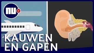 Wat gebeurt er met je oren tijdens een vlucht? | NU.nl