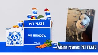 Pet Plate Dog Food Review 2020