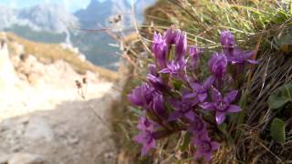 A simphony of the Dolomites -Sinfonia delle Dolomiti