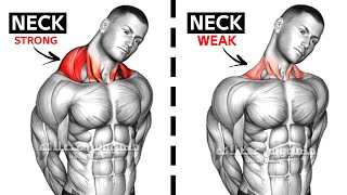 7 أقوى تمارين العنق كمال الاجسام - Neck Workout AT GYM