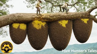 Scaling a 200m Jungle Giant to Harvest 4 Wild Honeycombs