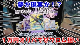 【ポケモンカード】ゼクロムSRやがんばリーリエが当たる！？　１万円オリパを２パック開封してみた！