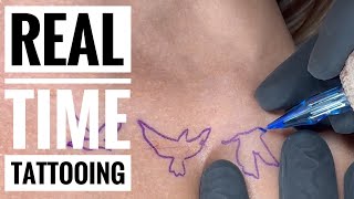 Small color birds Tattoo | Real time tattooing