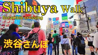 【Shibuya/Walk】ScrambleCrossing \u0026 Shoto | 渋谷のスクランブル交差点や松濤を散歩 (2023)