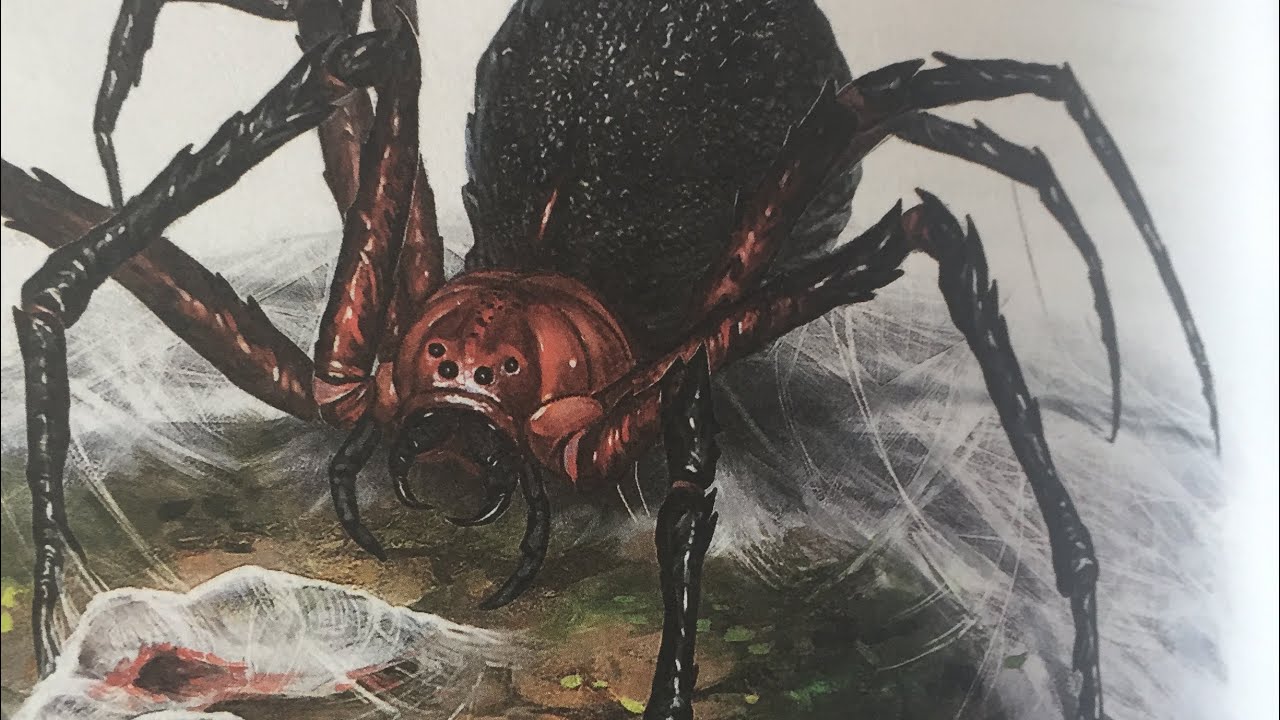 Паук кошмар. Giant Spider Pathfinder. DND гигантский паук. Паук ДНД 5. DND 5 паук.