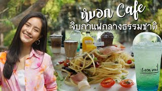 หมอก Cafe' คาเฟ่สไตล์ชิคๆ ที่คนรักธรรมชาติห้ามพลาด