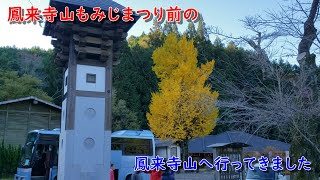 【紅葉】鳳来寺山で早めの紅葉狩り【登山】