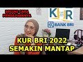 CARA PENGAJUAN DAN PERUBAHAN PINJAMAN KUR BRI 2022