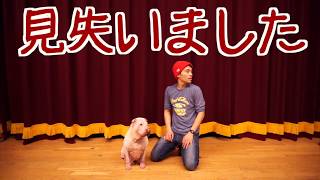 【奇跡】飼い主が『もやちゃん（犬）が見えないフリ』をし続けたら！？はじめて自己アピールを見た気がするwww