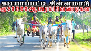 கடியாபட்டி சின்னமாடு - பிரிவு 1