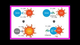 면역항암제, 3세대 항암제로 주목…부작용·고비용은 문제