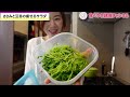 【ダイエット】本気で痩せたきゃこれ食べて！レンジで超簡単！5分でできる、ささみと豆苗の痩せるサラダ　栄養満点