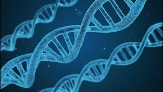 [통합과학 기본 개념 수업] 15강. 핵산(DNA, RNA)